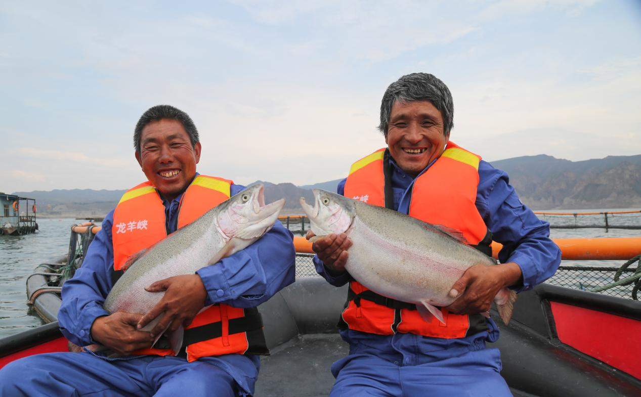 龙羊峡三文鱼养殖基地。共和县委宣传部供图