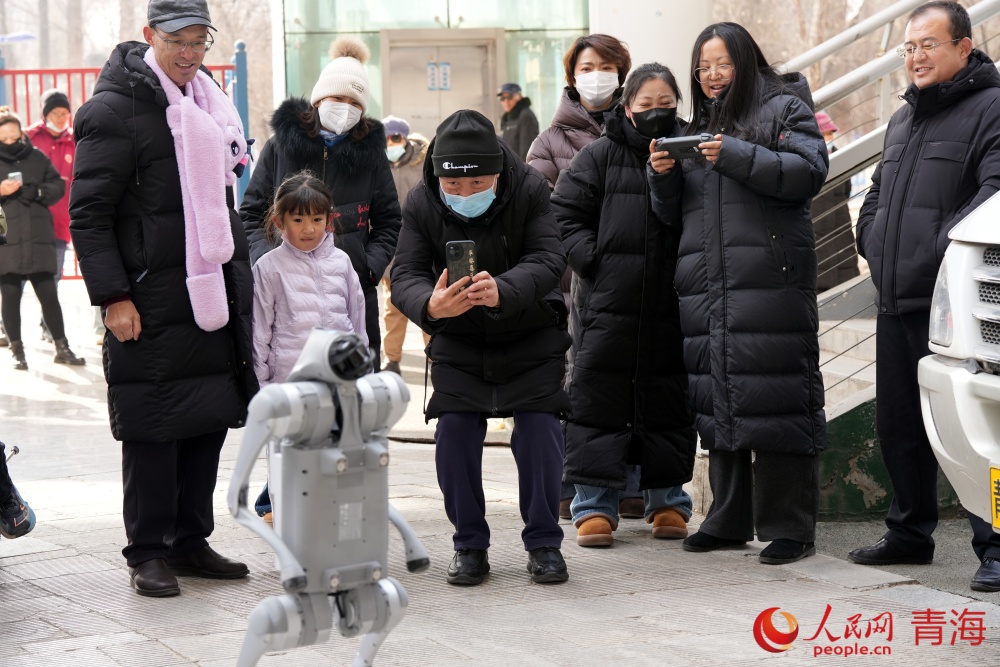 活动现场。人民网记者 况玉摄