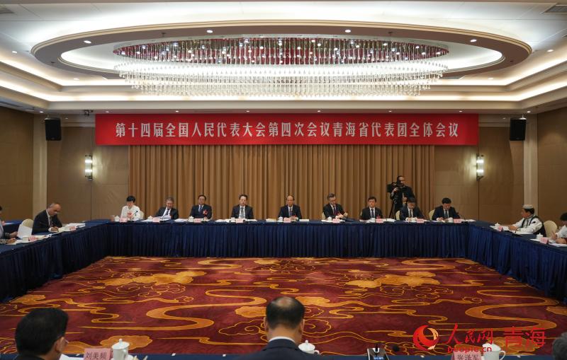 3月6日，出席十四屆全國人大四次會議的青海代表團舉行開放團組會議。人民網 徐源攝