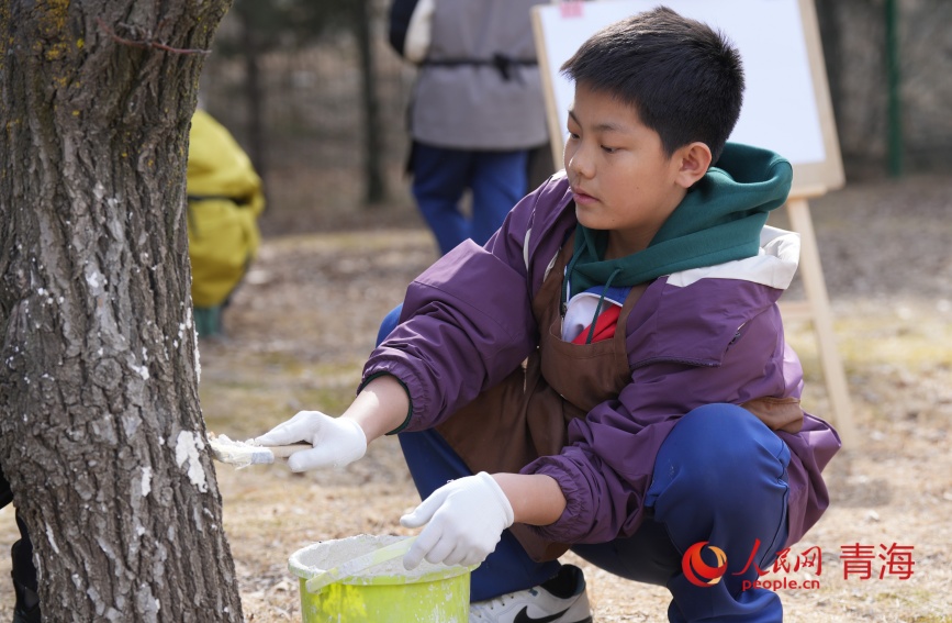学生给树木涂白。人民网记者 甘海琼摄