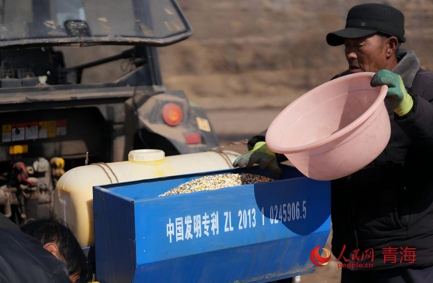 种植户在播种机中添加复合肥。人民网记者 甘海琼摄