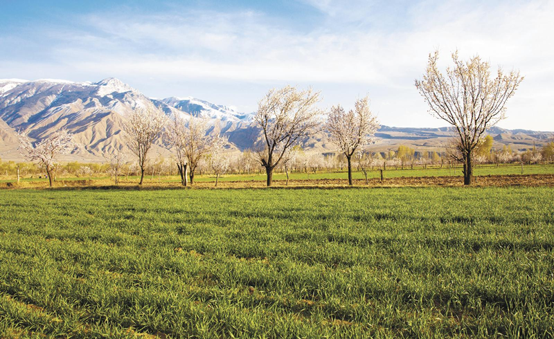 贵德：春潮涌动备耕忙