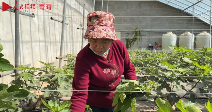 多措並舉繪就一年好“豐”景