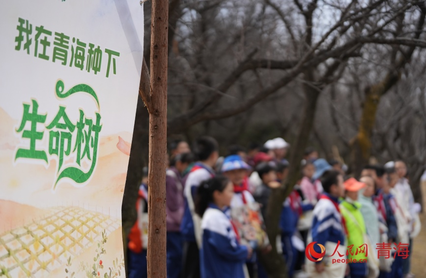 共护高原“生命树””/"