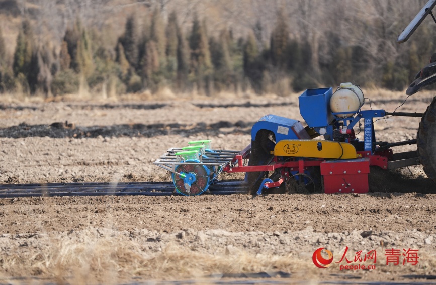 北斗导航播种。人民网记者 甘海琼摄