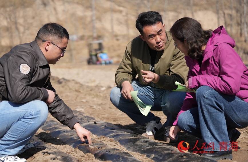 种植户向农业技术专家请教。人民网记者 甘海琼摄