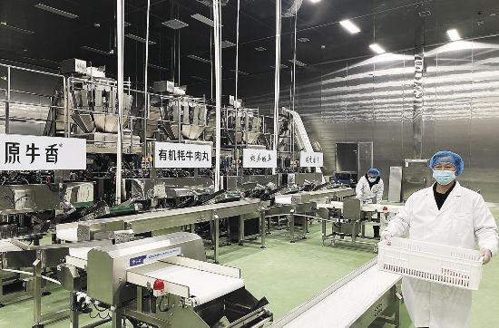 一粒牦牛肉丸拉长一条生态链