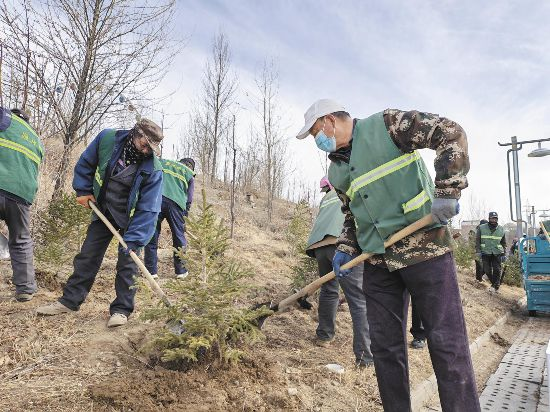 不负春光 巴音河畔植绿忙