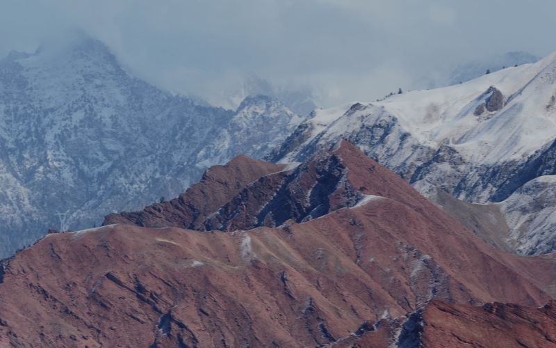 春至祁连山 鸟归黑河畔