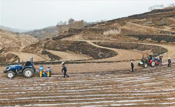 　两台新农机在浅山旱地的梯田作业。