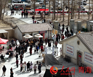 =青海推出5条《生命树》主题旅游线路/