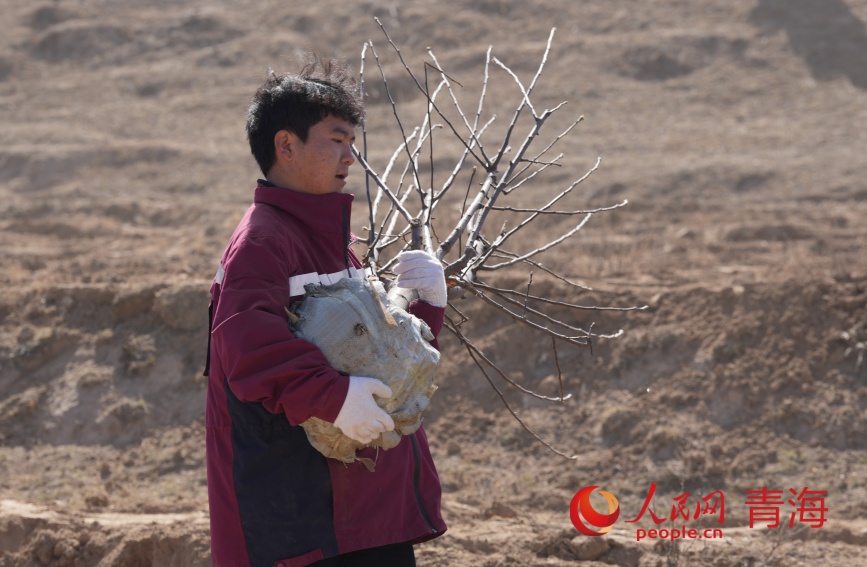 植树活动现场。人民网记者 甘海琼摄
