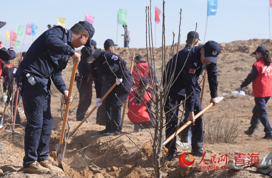 植树活动现场。人民网记者 甘海琼摄