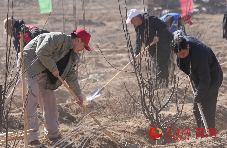 植树活动现场。人民网记者 甘海琼摄