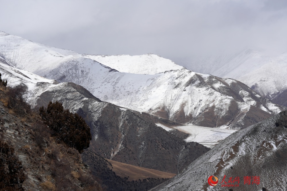 雪落长江第一湾。人民网记者 况玉摄