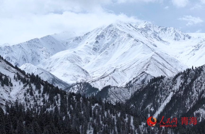 春雪浸润祁连山。人民网记者 甘海琼摄