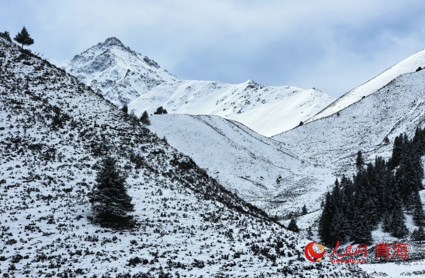 春雪浸润祁连山。人民网记者 甘海琼摄