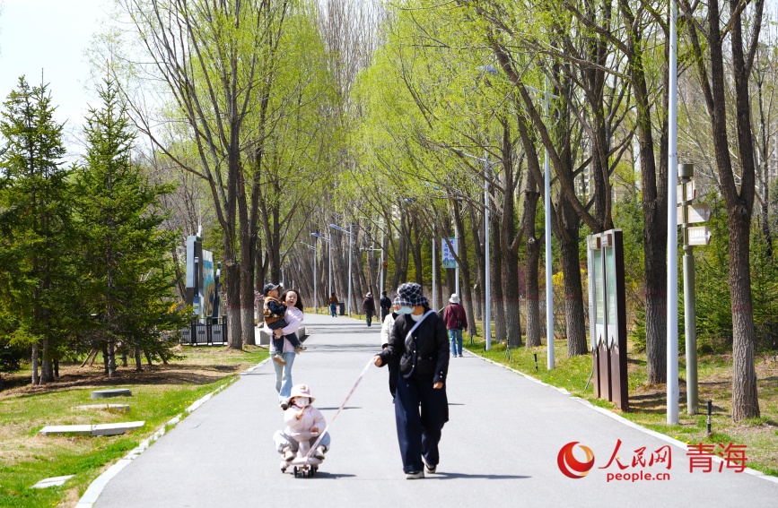 市民在湿地公园散步。人民网记者 甘海琼摄