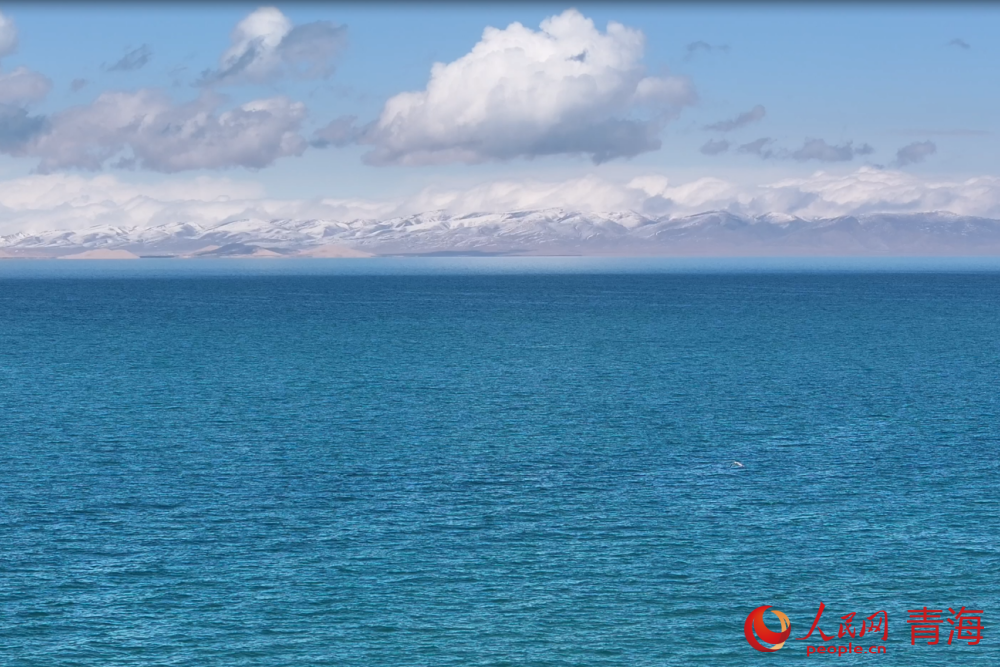 青海湖与雪山交相辉映。人民网记者 况玉摄