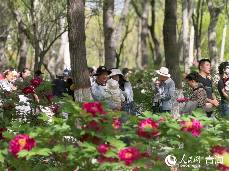 市民游园赏花,尽享夏日时光。人民网 马可欣摄