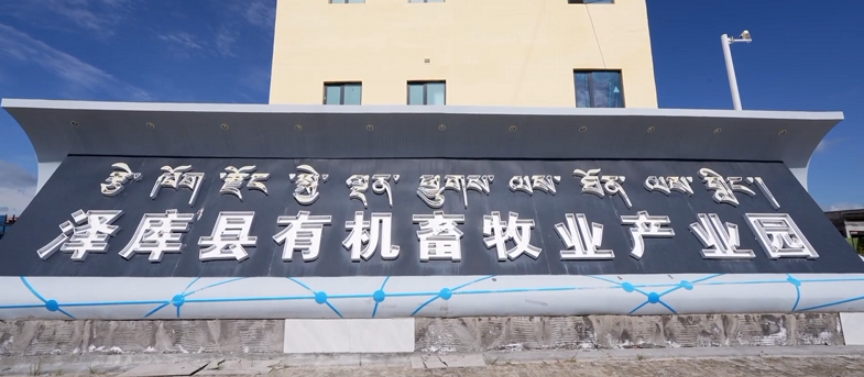 青海泽库：产业园区绘就高原致富新图景