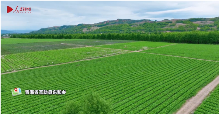 高原沃土守得住 鄉村萬般春自來