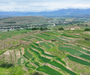 高原沃土守得住 乡村万般春自来