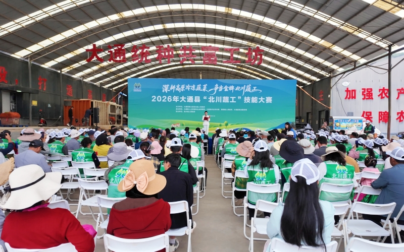 大通縣“北川蔬工”技能大賽舉辦