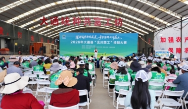 大通縣“北川蔬工”技能大賽舉辦