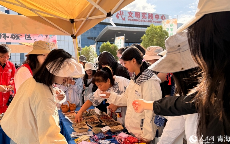 瀚海戈壁漾新风