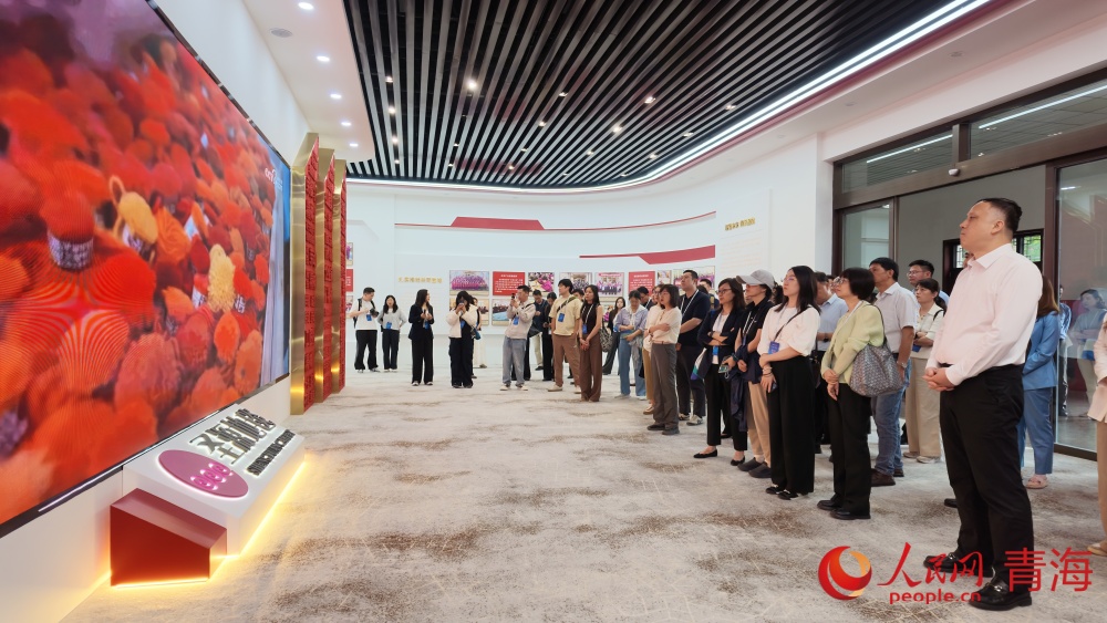 嘉宾走进圣源地毯集团。人民网记者 况玉摄
