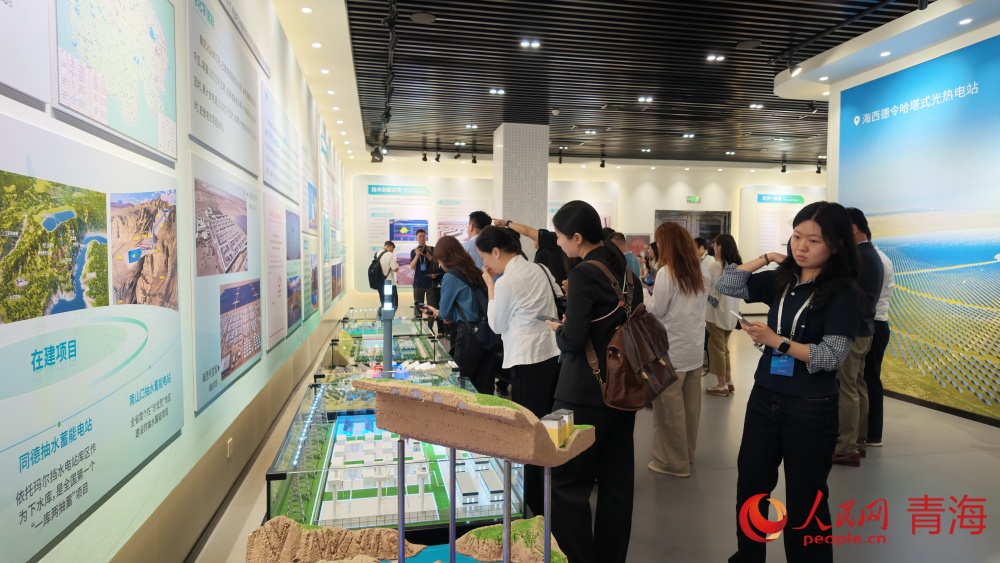 嘉宾了解青海省清洁能源发展。人民网记者 况玉摄