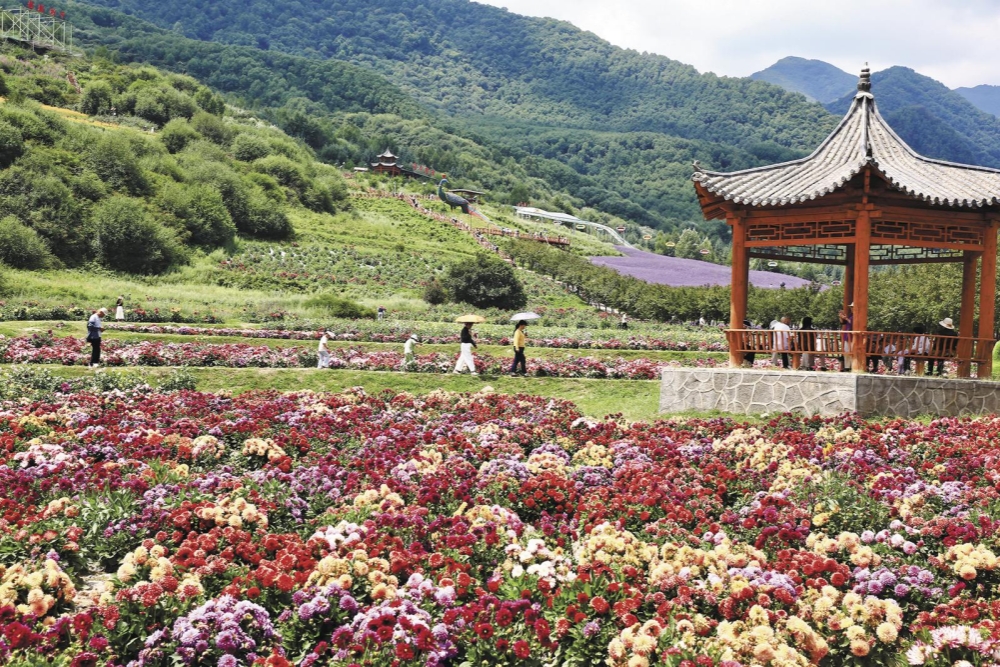 姹紫嫣紅開 花海引游人