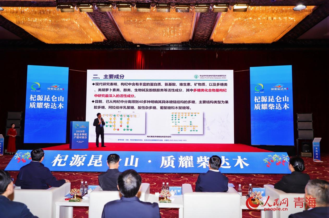 2026年柴达木枸杞产销对接会启幕 高原“红果”乘风拓市正当时