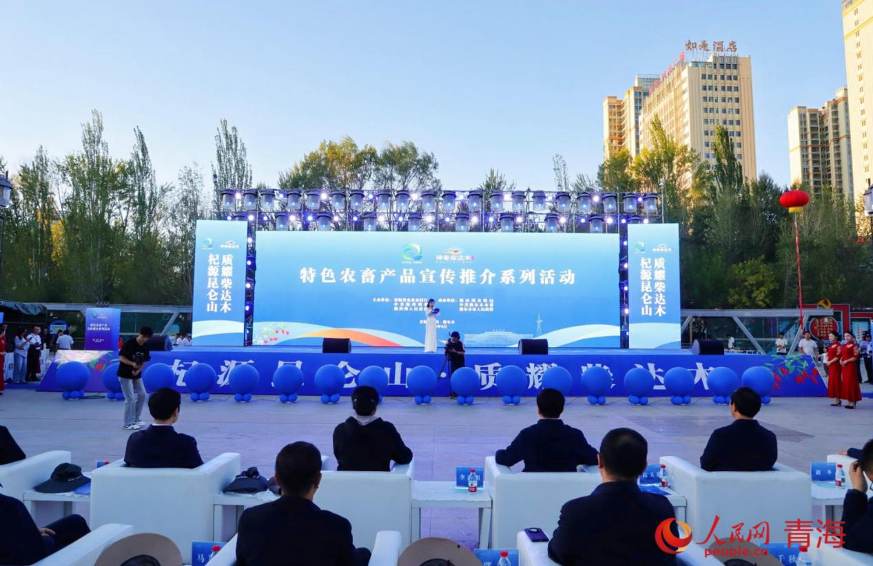 推介会现场。人民网记者 甘海琼摄