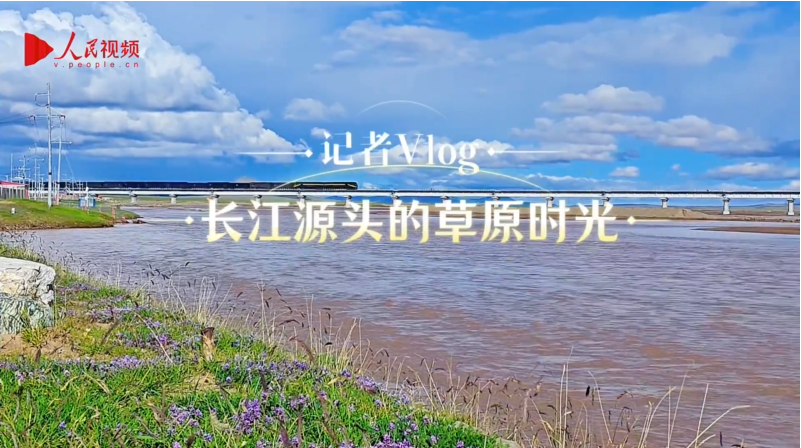 记者Vlog丨长江源头的草原时光