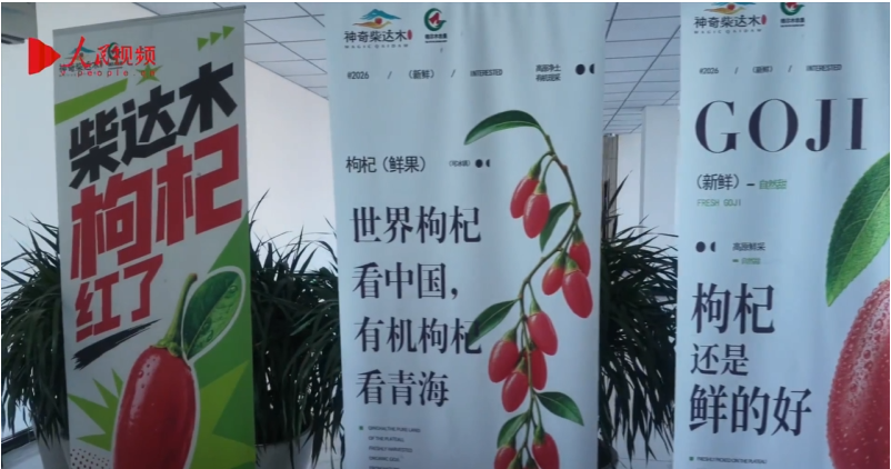 深耕柴达木枸杞 全链创新开辟产业新赛道
