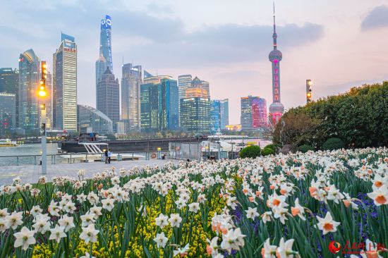 北外滩繁花似锦，景色迷人。 人民网记者 王初摄